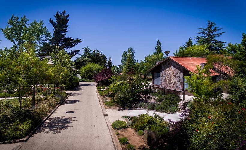 Merom Golan Tourism