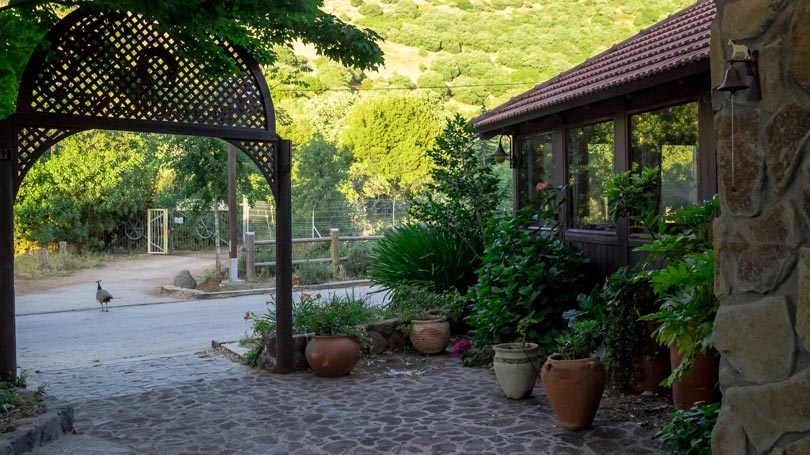 Habokrim Restaurant