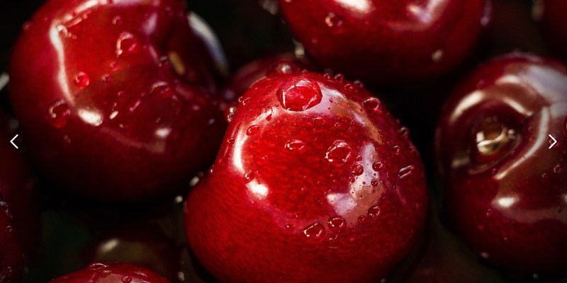 cherries and berries self-harvest